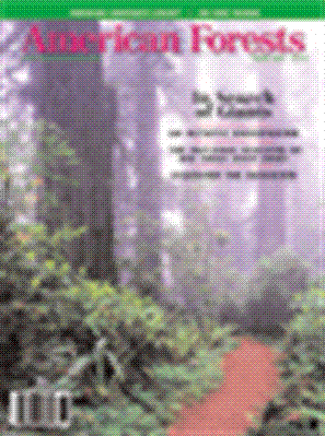 American Forests